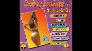 FELINOS - SIN CORAZ&Oacute;N