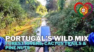 Portugal&rsquo;s Wild Mix: Forest Rivers, Cactus Trails & Pine Nuts