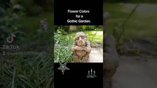 The flower colors you want to choose for a Gothic Garden. #decorating #gothicgarden #nature #garden.