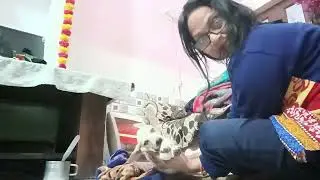 Sari Raat tadapta Raha doggy Dard Se #viral#mini vlog#Savita bhadoriya Gwalior