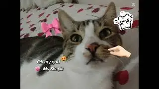 Oyss guzumm