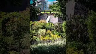Getty Garden 2003 6, Getty Center, Los Angeles, California [Photography]
