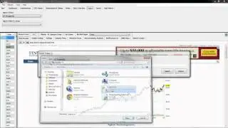 Using Import Ticker View Assignments