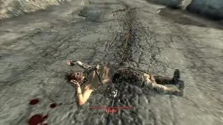 Fallout = Peak Life