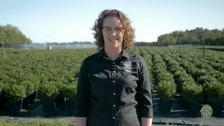 Sheridan Nurseries: Wholesale