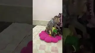 Нежный комфорт!!