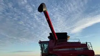 2010 CASE IH 6088 For Sale