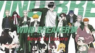 ★‘🌪Windbreaker React to Sakura Haruka🌸’★ /angst, ❌🏳‍🌈\ [By: °S U K U N]