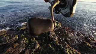 06.07.2025 Sinop Levrek Avı