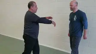 Systema Punch by Frank Arias 2026