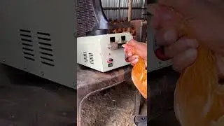 Beak trimming procedure in chicken #poultryfarming #doctor