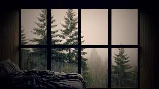 Rainy Cabin Night | Serene Sounds for Rest & Meditation
