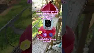 Smart Feeder with Camera - Perfect Gift for Bird Lovers #fok #noahtec