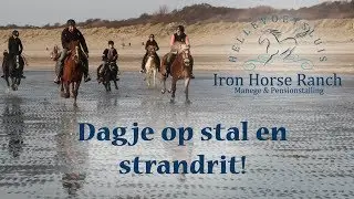 Dagje op stal en buitenrit met stalgenoten!