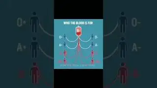 Blood Donation-The Life Mechanism #blood #bloodgroup #biology #science#foryou