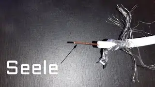 Gibt es die Seele?