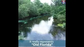 Drone's view of Weeki Wachee Springs State Park