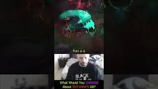August - What Would You CHANGE About SHYVANA'S Kit