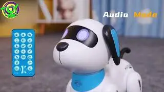 RC Voice Programming Stunt Robot Dog Educational Toys @toytime211