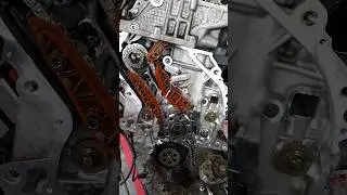BMW 3 series timings change