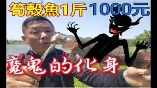 高級筍殼魚釣法解破教學!!台南秘境釣點大公開!!生態池