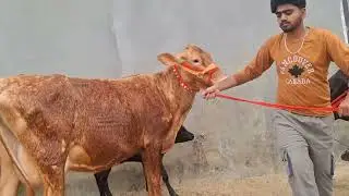 9815359107