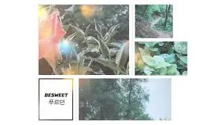 BESWEET(비스윗) '푸르던(Woodland)' Official audio MV