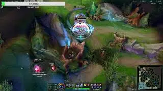 Nautilus Combo predator+Q+flash+R+E