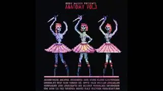 VARIOUS ARTISTS - ANATOMY VOL.3 [ALBUM MIX]
