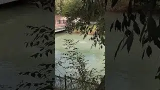 Amazon🌊🧜🏻&zwj;♀️