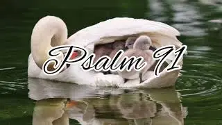 Psalm 91 - NLT Audiovisual