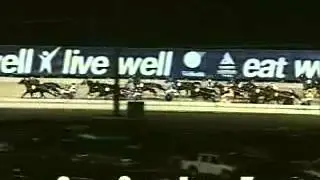 Inter Dominion Trotting Championship 2000 -Lyell Creek