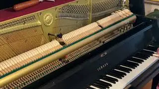 Mr. Piano Tech: Years untuned, Yamaha P22 upright piano before and after tuning 