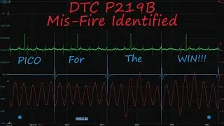 DTC P219B vs Pulse Sensor/Picoscope