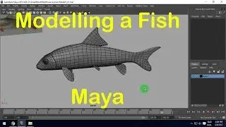 Modelling Fish in Maya - Part 01