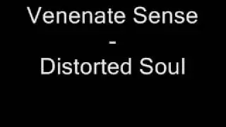 Distorted Soul