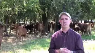 Jason Banta - BQA - Defined Breeding Seasons