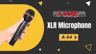 Sing Like a Pro with 5Core Dynamic Microphone!
