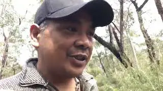 Nattai National Park in great company