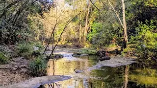 L'aventure au fil de l'eau, sentier de la Brague 9 d&eacute;cembre 🐾🐕🐾🌷🧚&zwj;♀️
