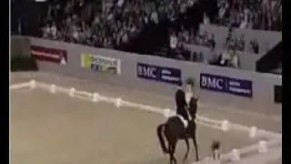 brett parbery.flv
