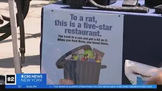 NYC has 1st ever 'rat czar'
