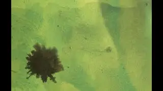 Eiafuawn - Birds In The Ground (Full Album HD Visualizer)