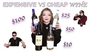 BLIND TASTE TESTING WINE (CHALLENGE)