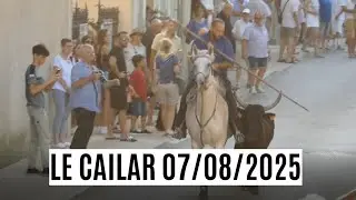 Le Cailar 07/08/2025 F&ecirc;te votive