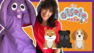 SHOW FOR KIDS WHO ARE AFRAID OF DOGS | Video For Kids | The Gisele Mashup