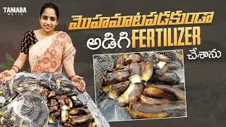 ORGANIC FERTILIZER'S | Best Fertilizers for plants | || TELUGU GARDEN VLOG