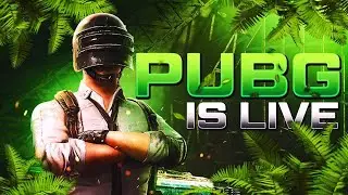 Insane  Pubg Crazy Games
