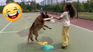 Try Not To Laugh 🤣 Top 100 Funniest Animal Videos 🎬🔥 Memes, Epic Fails & Pranks Compilation Part 2