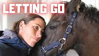 Now It’s Real. The Foal Is Being Sold | Teaching Rising Star⭐ to Steer | Friesian Horses